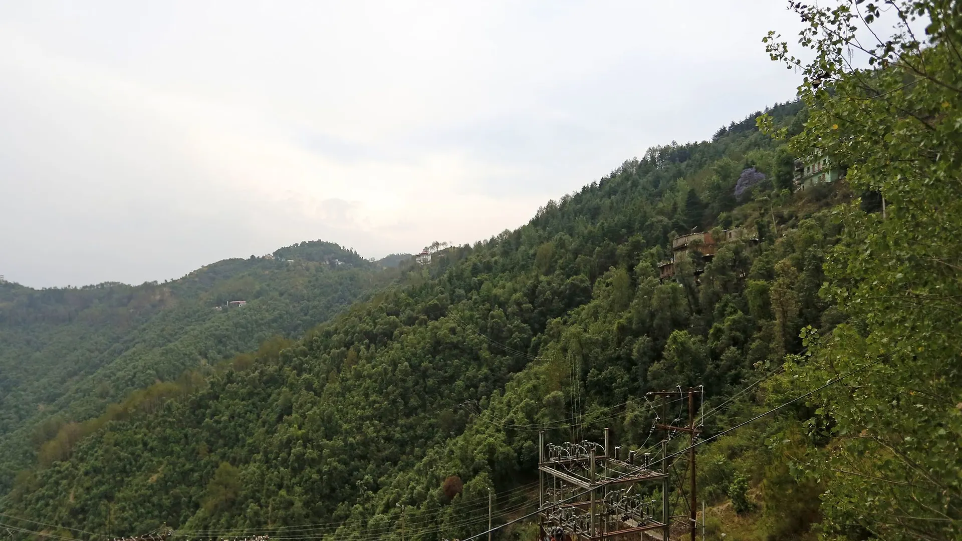 Oyo 9101 Shoghi Eco Valley Shimla Hotel